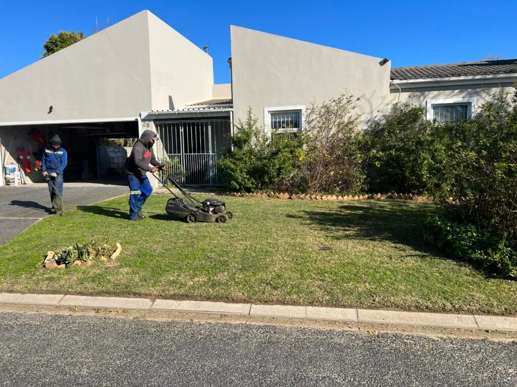 Team mowing and trimming a residential garden, from the Top Trimmers gallery