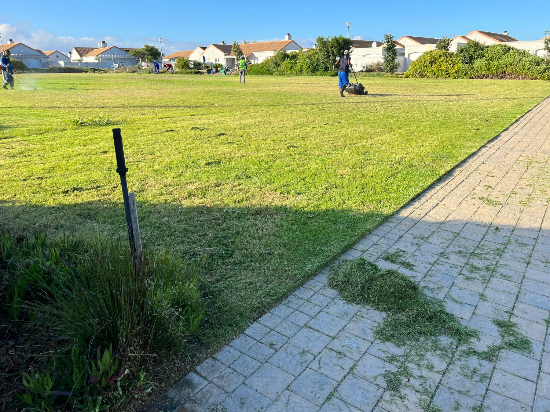 Top Trimmers gallery photograph of a team maintaining a large lawn
