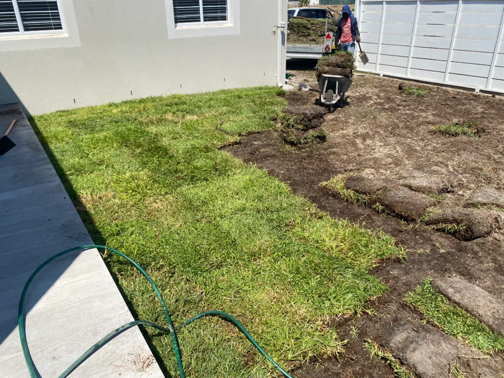 New lawn installation shown in the Top Trimmers gallery