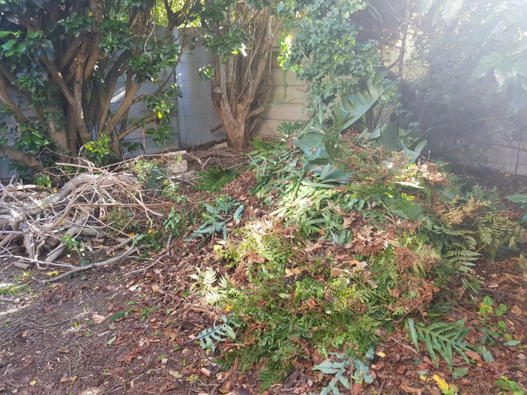 Debris removal photograph published by Top Trimmers
