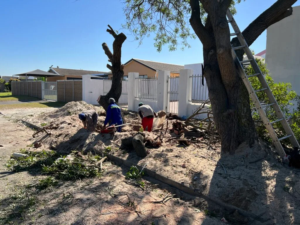 Tree removal work shown in the Top Trimmers project gallery